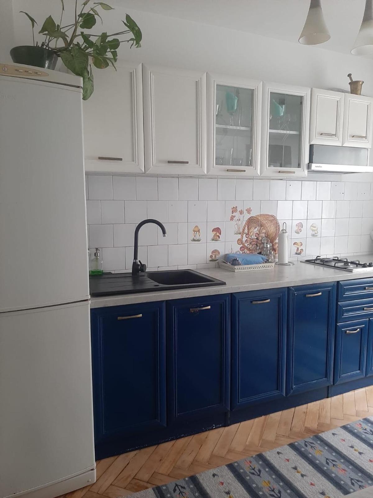 Mari&Vio Apartment Cluj-Napoca Ngoại thất bức ảnh