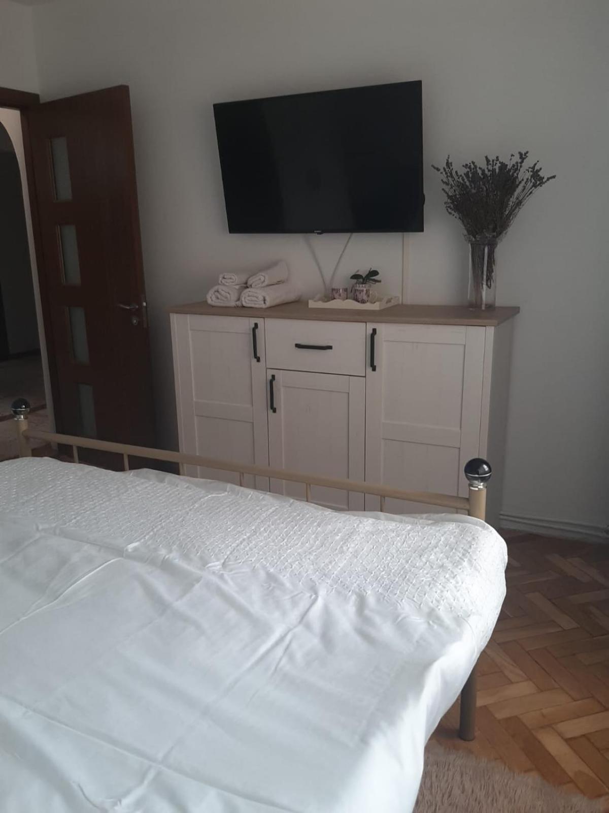 Mari&Vio Apartment Cluj-Napoca Ngoại thất bức ảnh