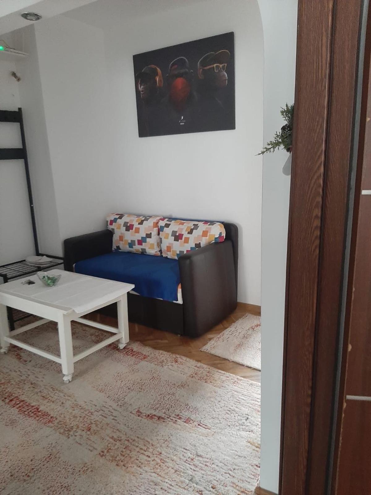 Mari&Vio Apartment Cluj-Napoca Ngoại thất bức ảnh