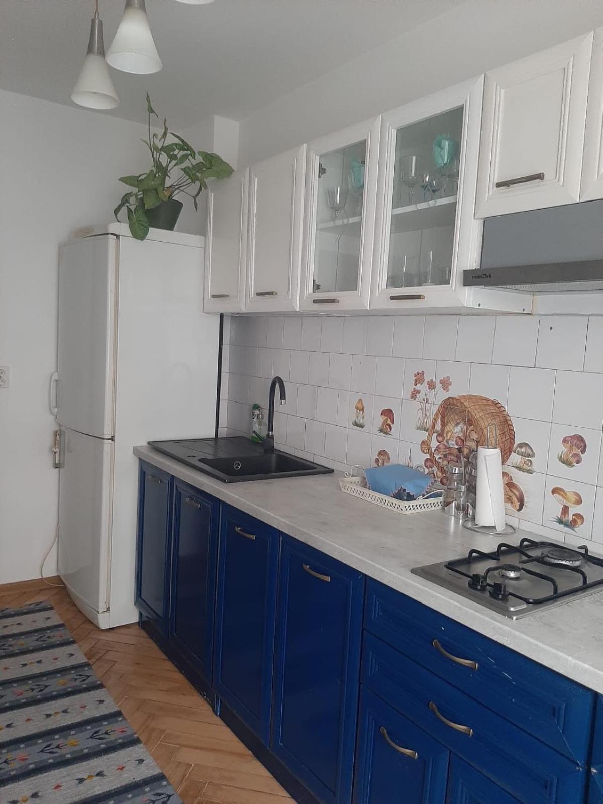 Mari&Vio Apartment Cluj-Napoca Ngoại thất bức ảnh